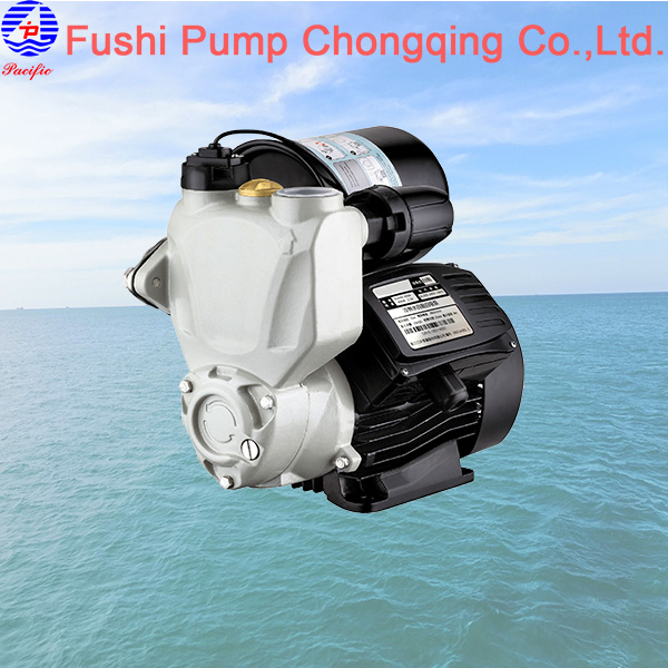 Self-priming pump